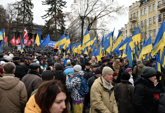 Open Rada protest rally in Kiev