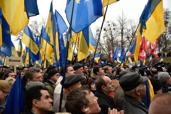 Open Rada protest rally in Kiev
