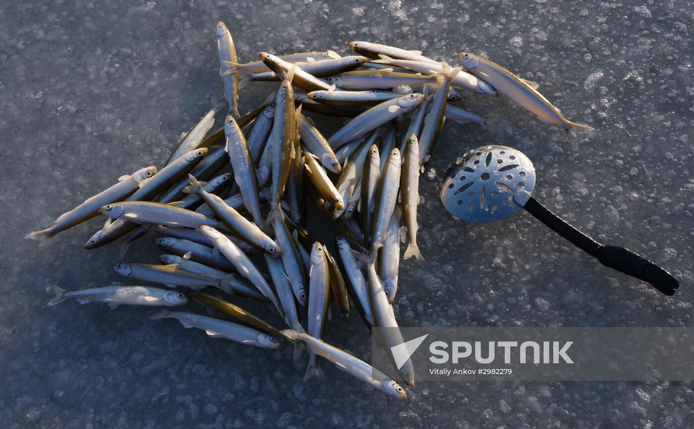 Fishing in Primorsky territory