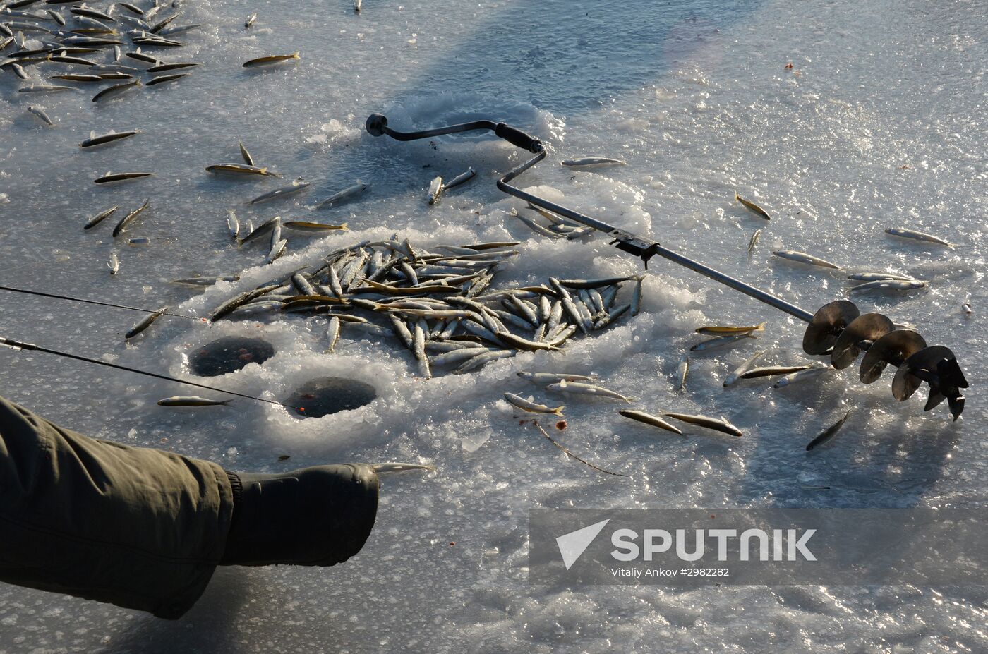 Fishing in Primorsky territory