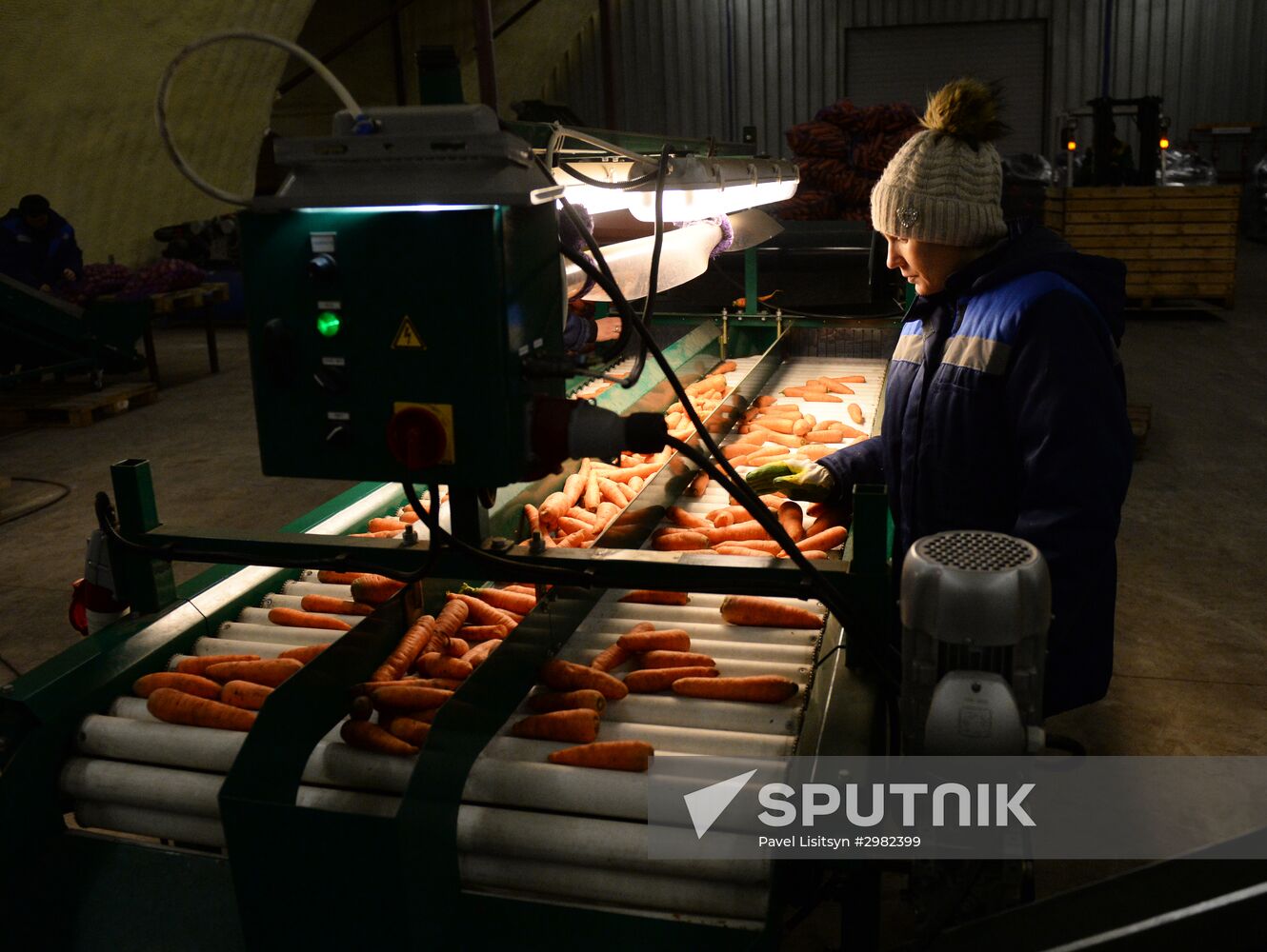 Vegetable procesing and logistics center Sverdlovsk Region