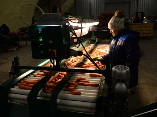 Vegetable procesing and logistics center Sverdlovsk Region