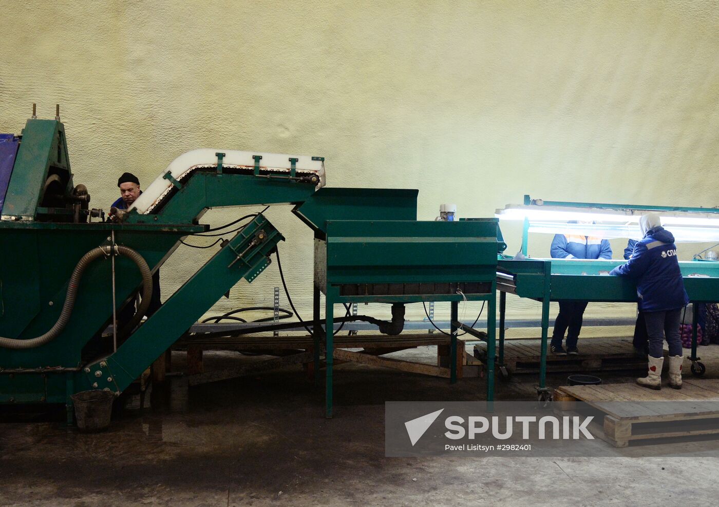 Vegetable storage warehouse in Sverdlovsk Region