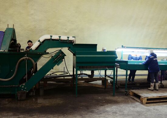 Vegetable storage warehouse in Sverdlovsk Region