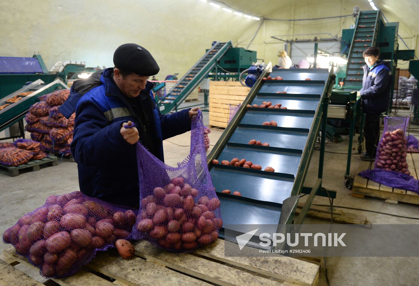 Vegetable procesing and logistics center Sverdlovsk Region