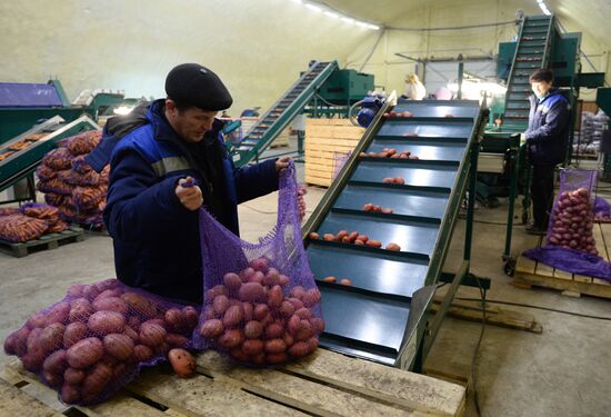 Vegetable procesing and logistics center Sverdlovsk Region