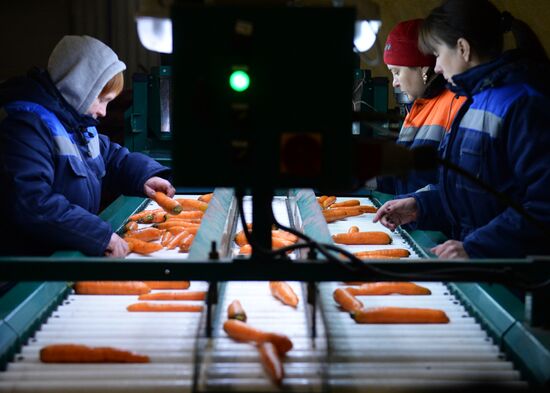 Vegetable procesing and logistics center Sverdlovsk Region