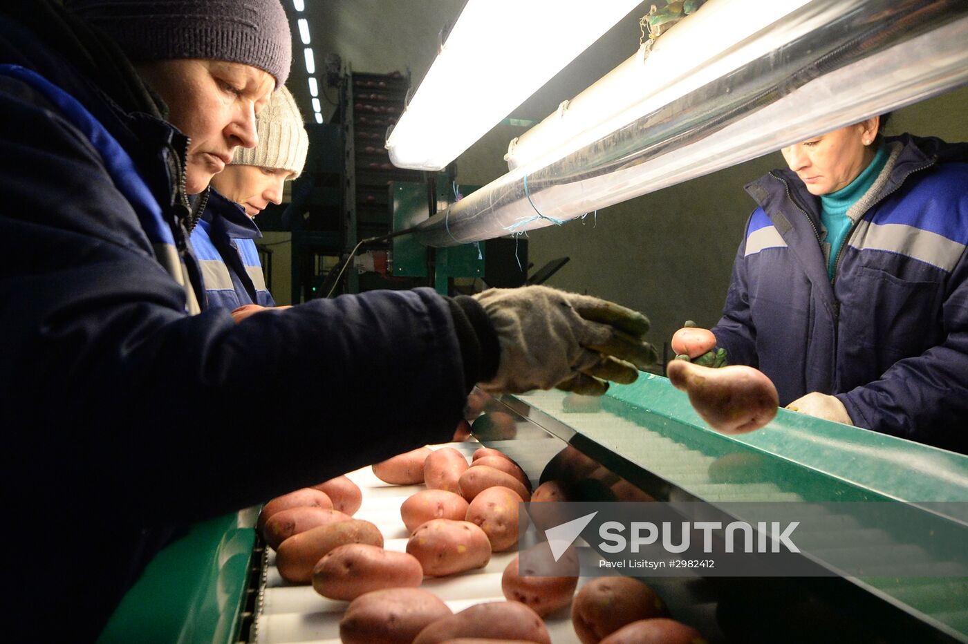 Vegetable storage warehouse in Sverdlovsk Region
