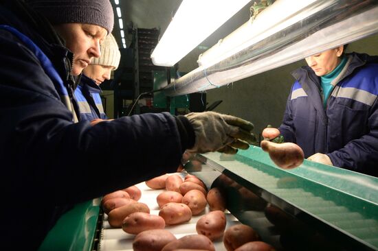 Vegetable storage warehouse in Sverdlovsk Region