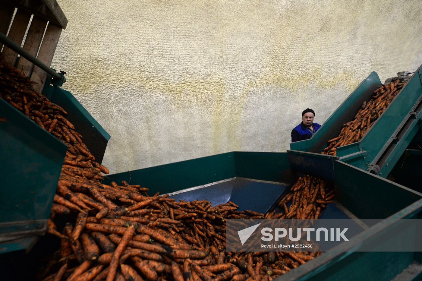 Vegetable procesing and logistics center Sverdlovsk Region