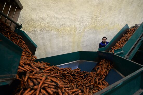 Vegetable procesing and logistics center Sverdlovsk Region