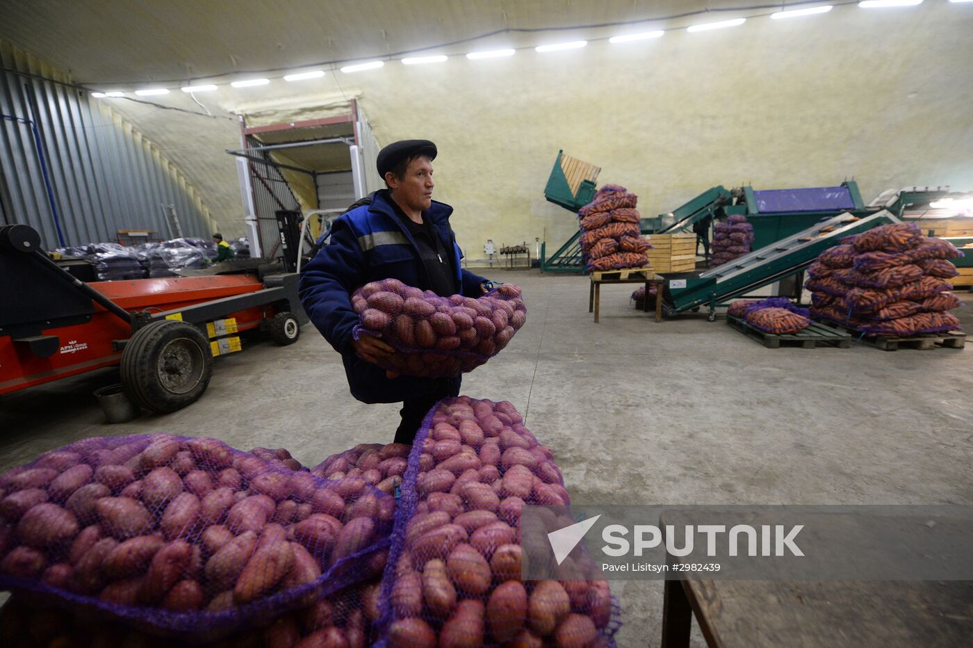 Vegetable storage warehouse in Sverdlovsk Region