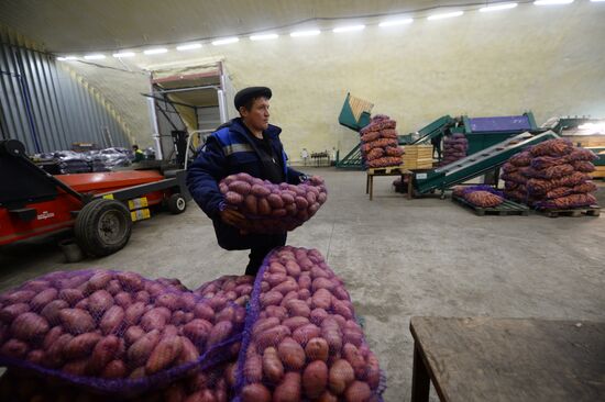 Vegetable storage warehouse in Sverdlovsk Region