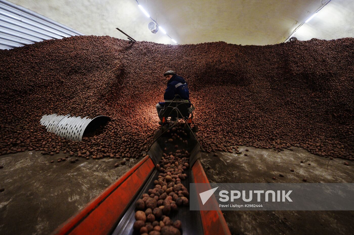 Vegetable storage warehouse in Sverdlovsk Region