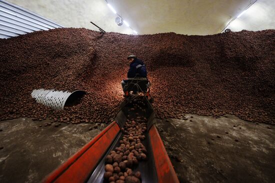 Vegetable storage warehouse in Sverdlovsk Region