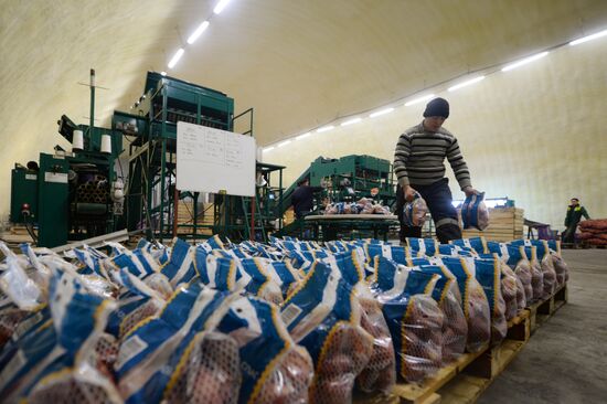 Vegetable storage warehouse in Sverdlovsk Region