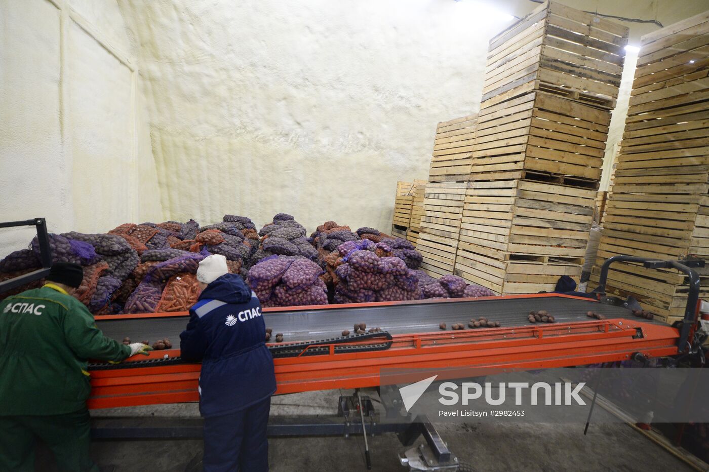 Vegetable storage warehouse in Sverdlovsk Region