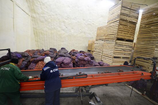 Vegetable storage warehouse in Sverdlovsk Region