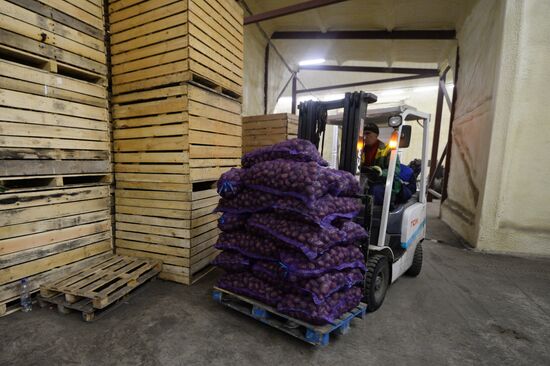 Vegetable storage warehouse in Sverdlovsk Region
