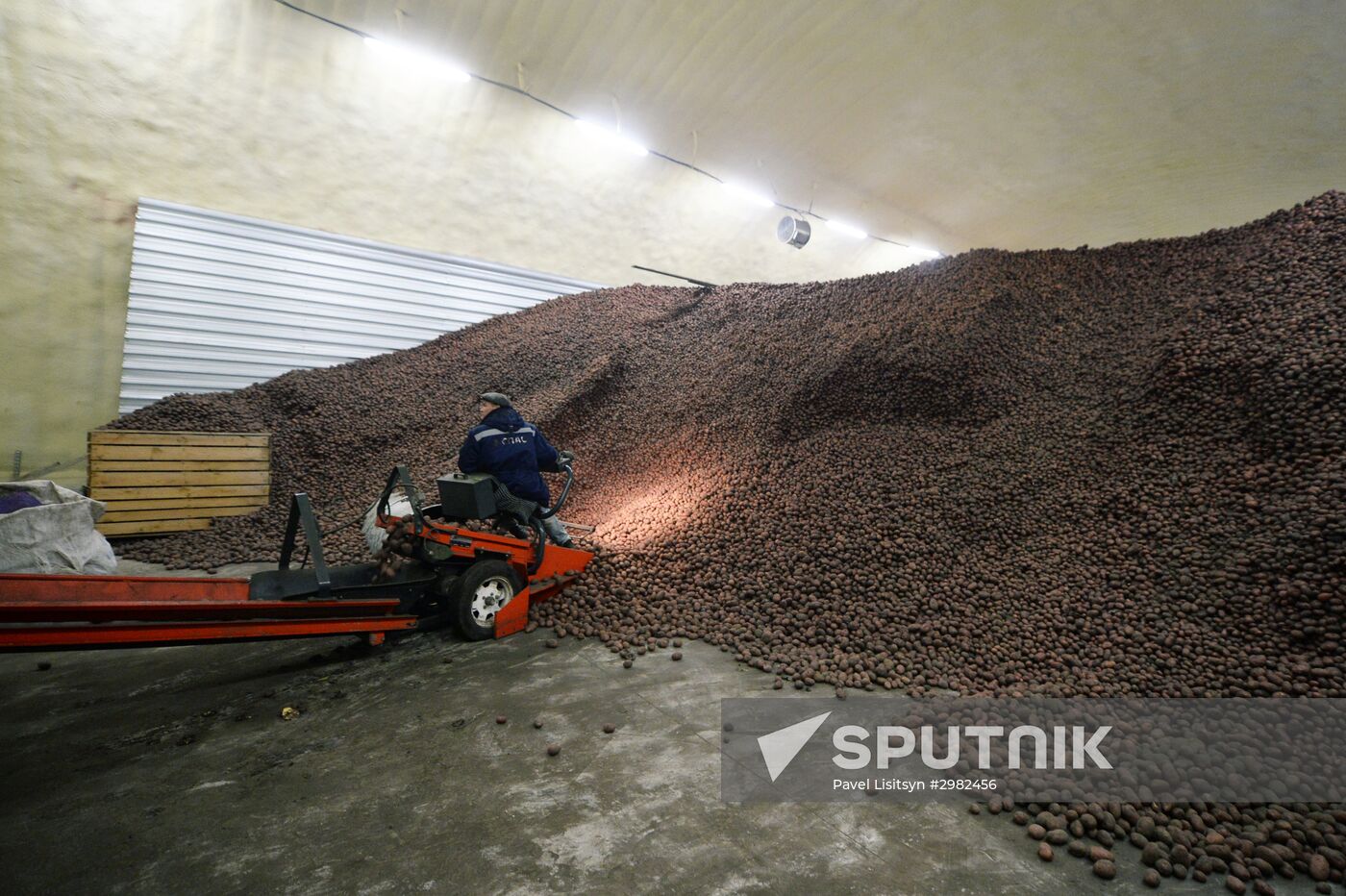 Vegetable storage warehouse in Sverdlovsk Region
