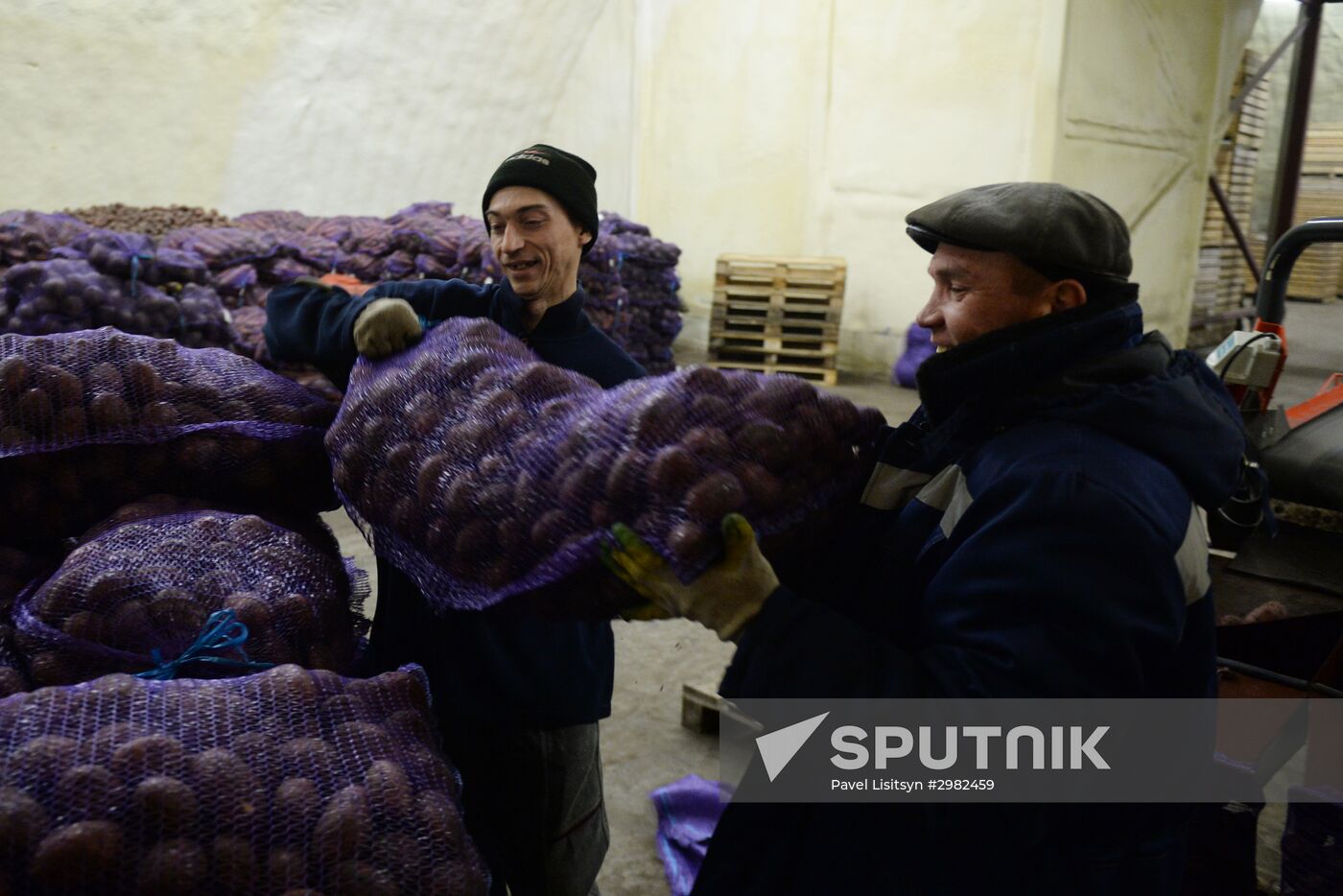 Vegetable storage warehouse in Sverdlovsk Region