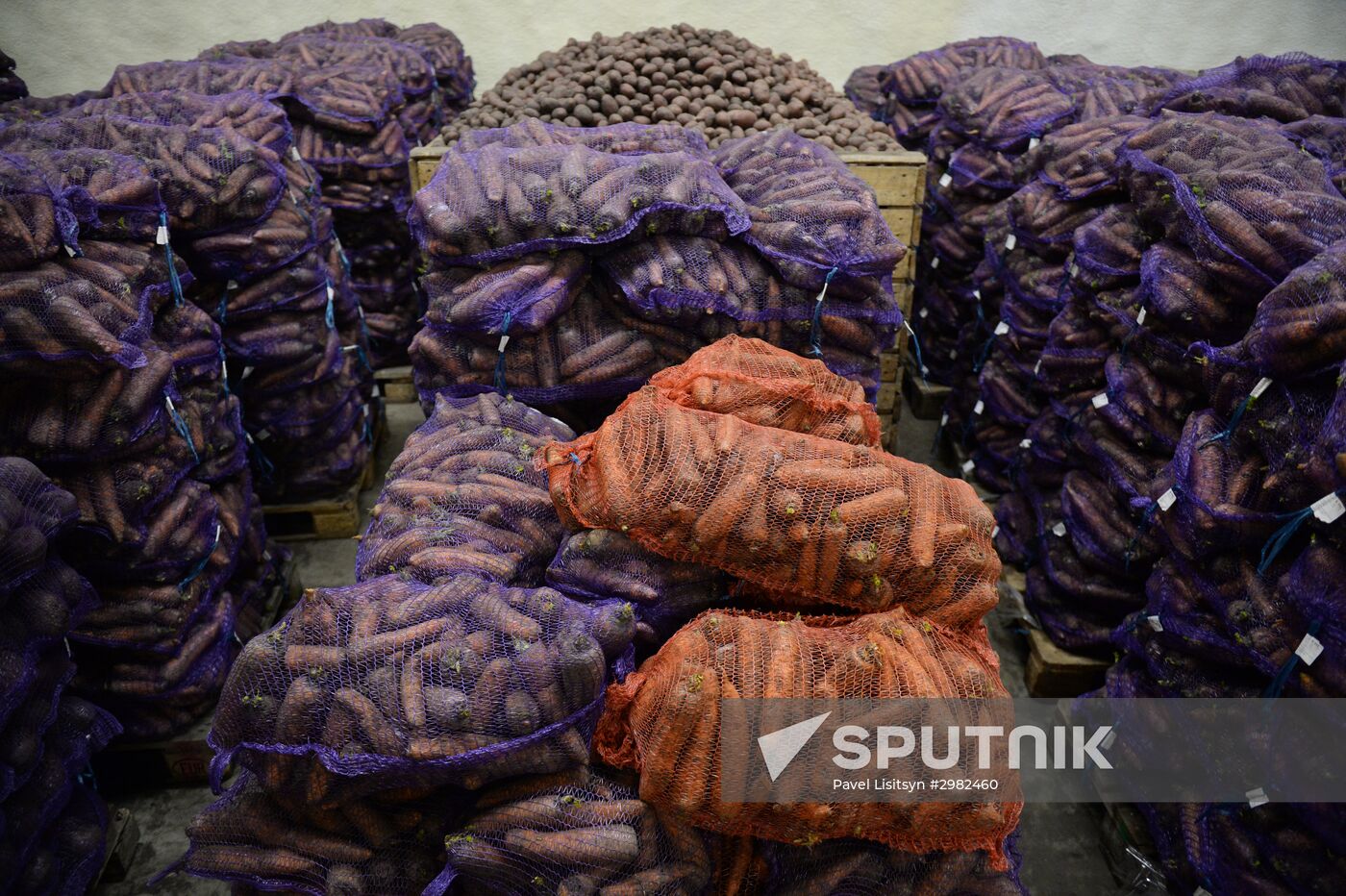 Vegetable storage warehouse in Sverdlovsk Region