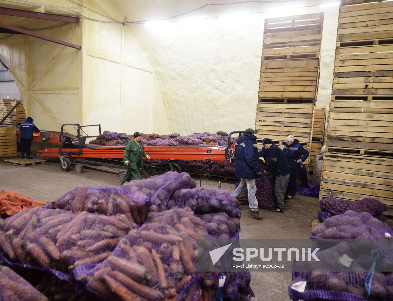 Vegetable storehouse in Sverdlovsk region