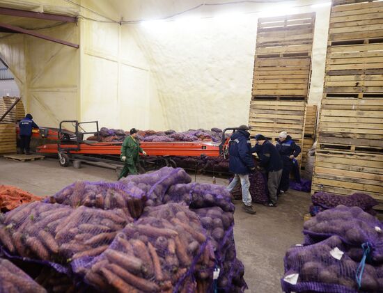 Vegetable storehouse in Sverdlovsk region