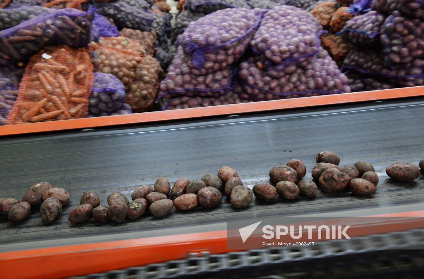 Vegetable storehouse in Sverdlovsk region