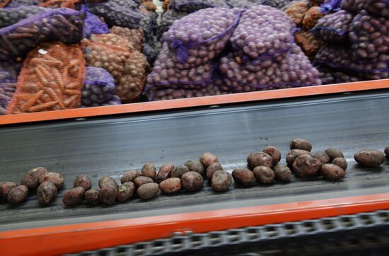 Vegetable storehouse in Sverdlovsk region