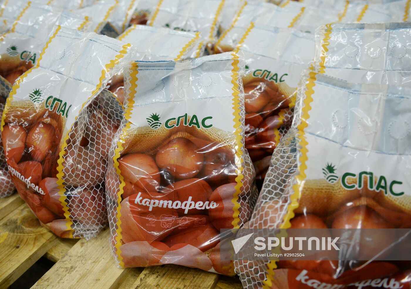 Vegetable storehouse in Sverdlovsk region