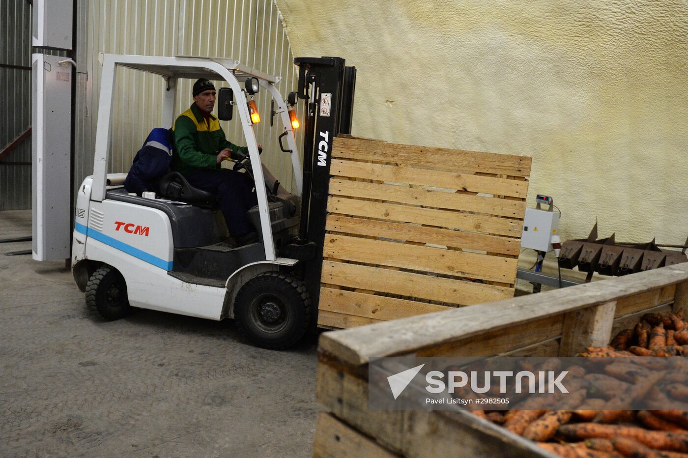 Vegetable storehouse in Sverdlovsk region