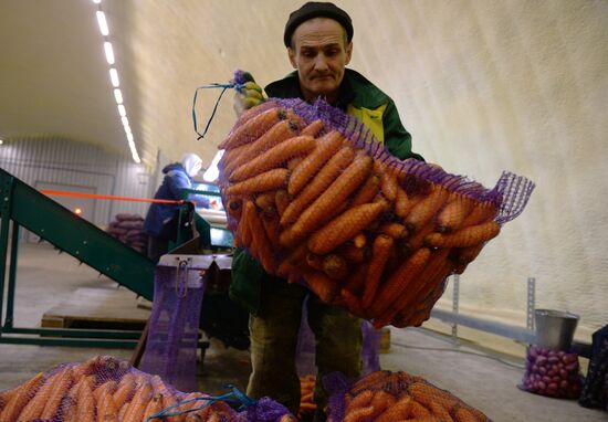 Vegetable storehouse in Sverdlovsk region