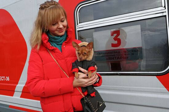 Yantar deluxe train's 55th anniversary celebrated in Kaliningrad