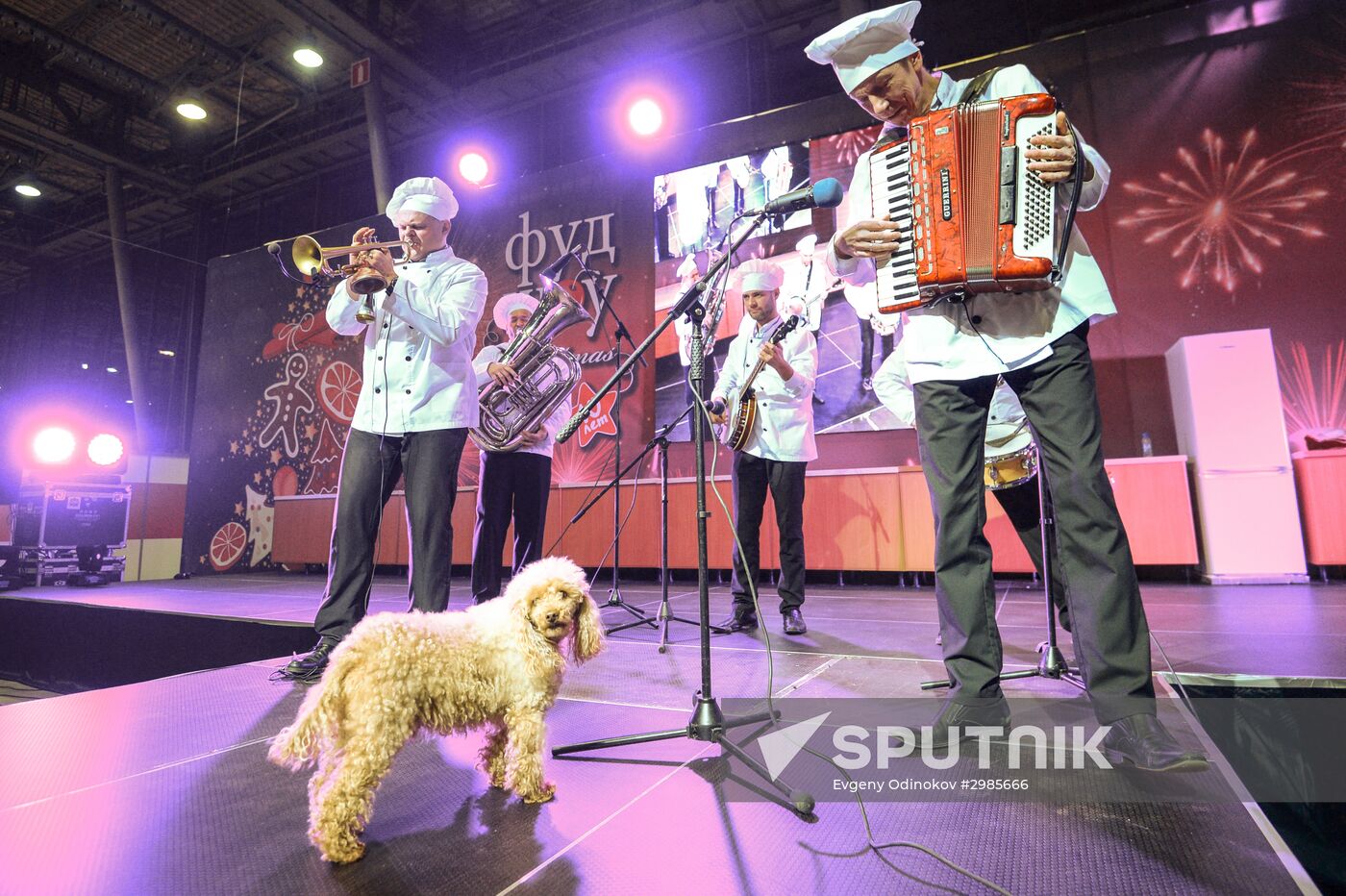 Food Show Festival