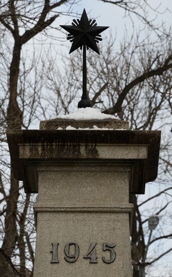 Day of the Unknown Soldier marked across Russia