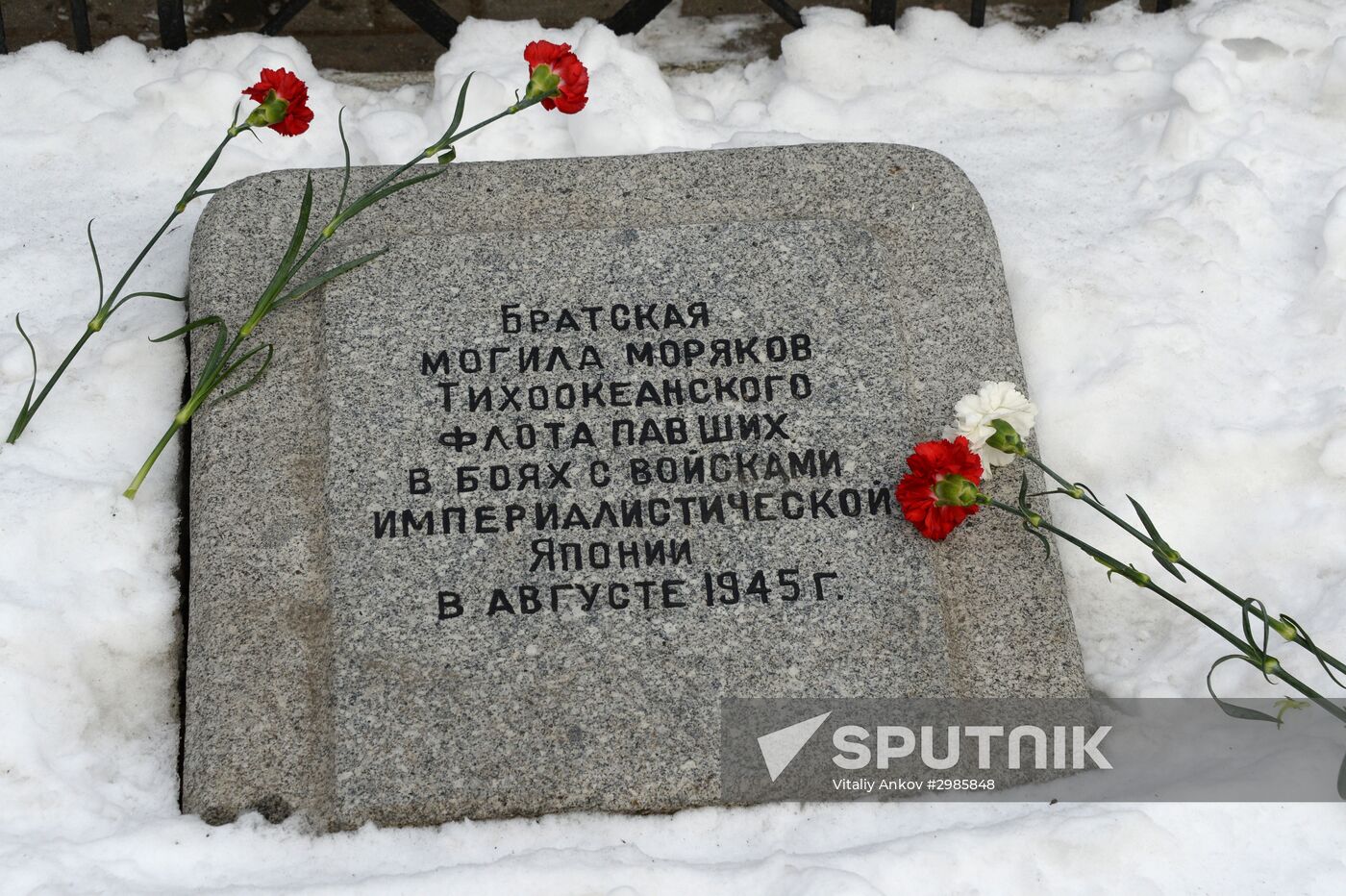 Day of the Unknown Soldier marked across Russia