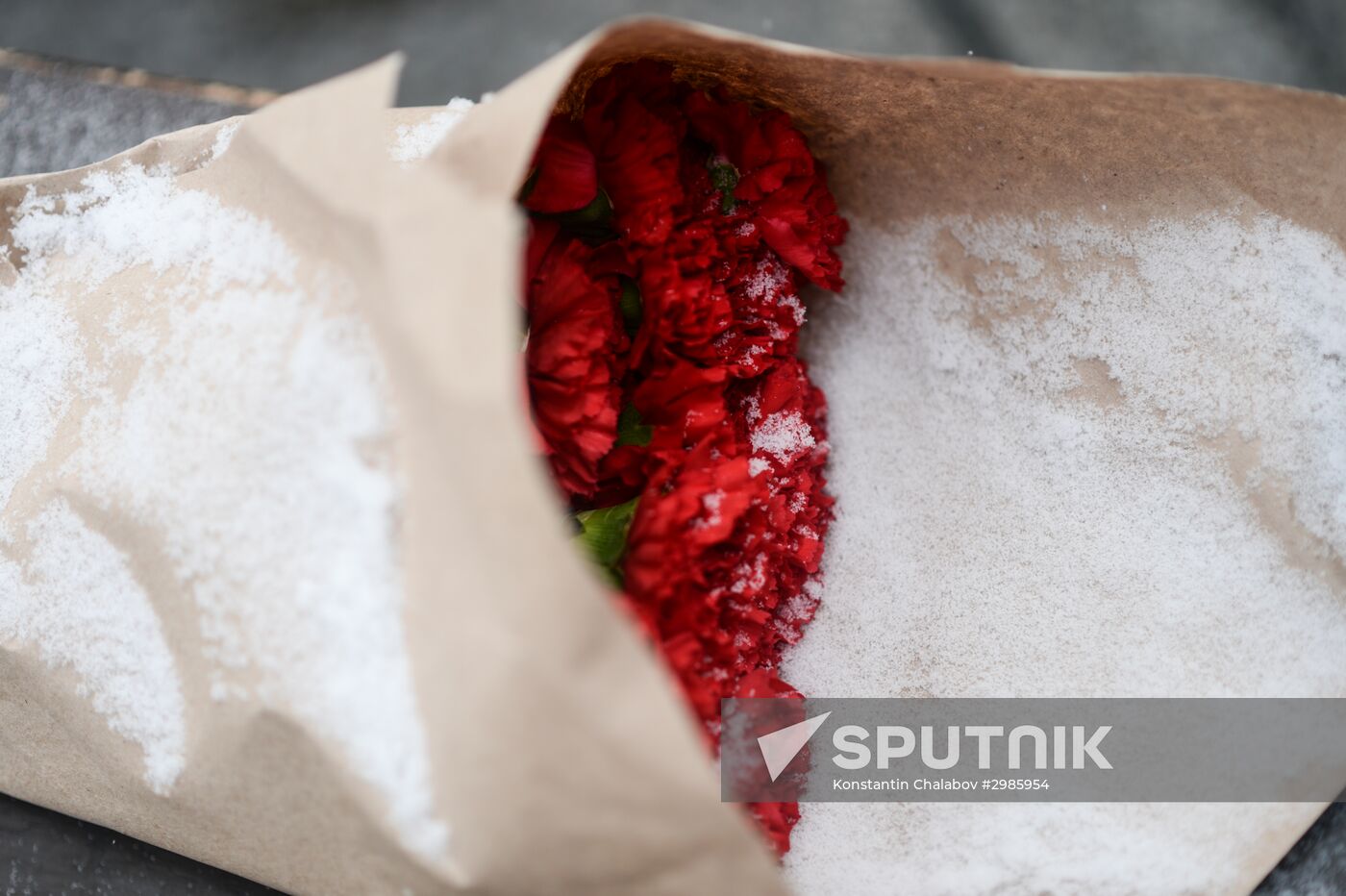 Day of the Unknown Soldier marked across Russia