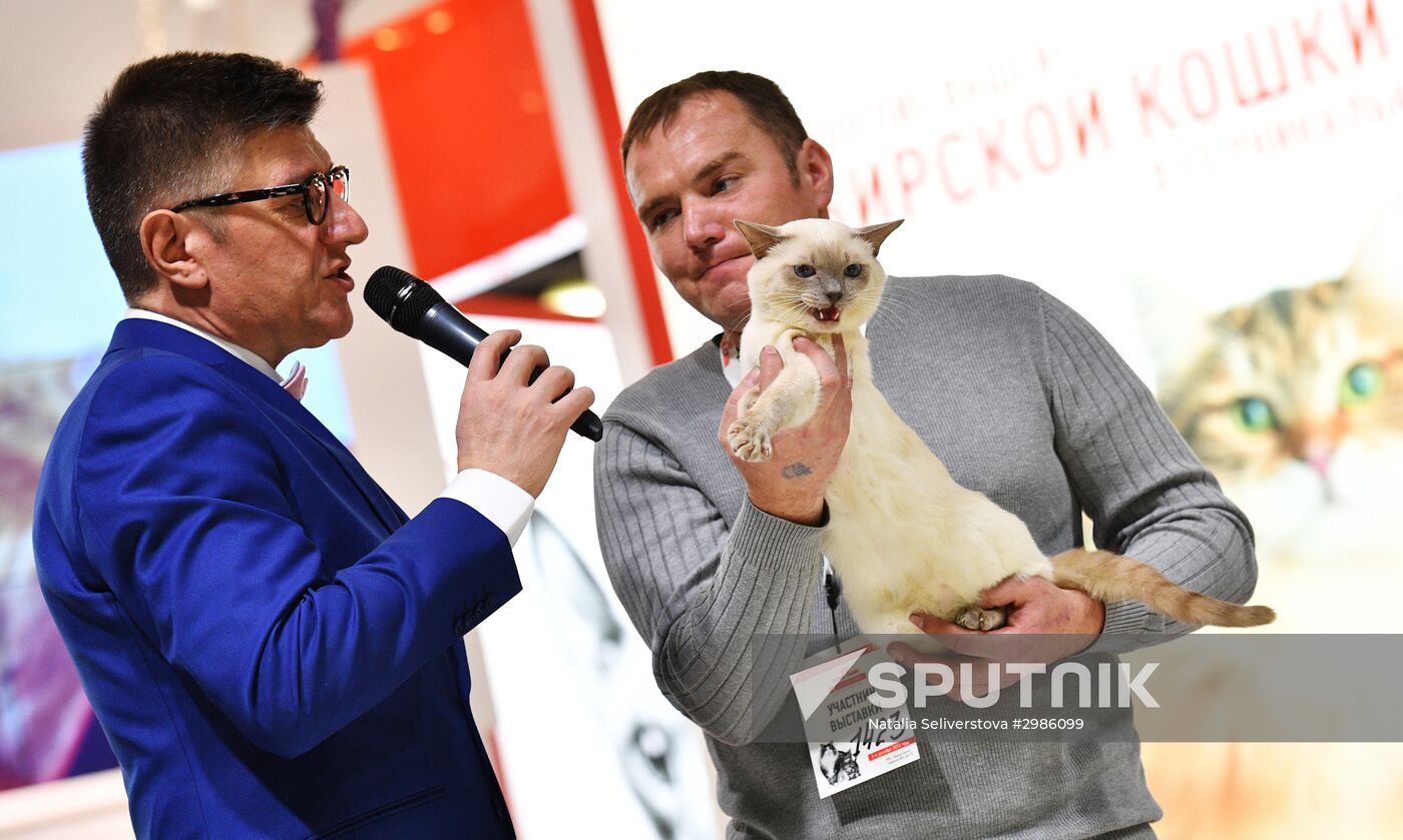 Cat exhibition Grand Prix Royal Canin in Moscow