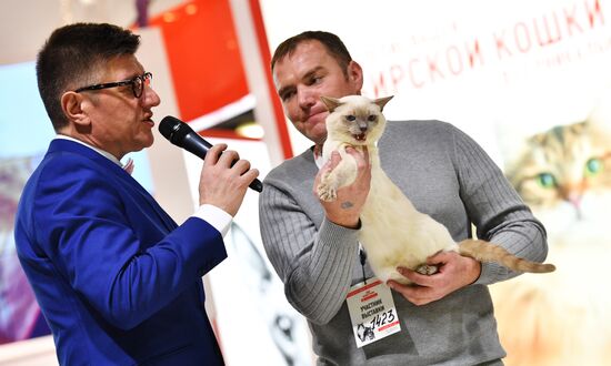 Cat exhibition Grand Prix Royal Canin in Moscow
