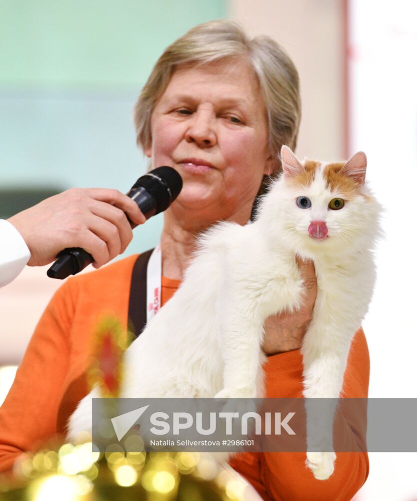 Cat exhibition Grand Prix Royal Canin in Moscow