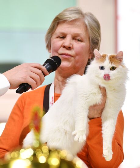 Cat exhibition Grand Prix Royal Canin in Moscow