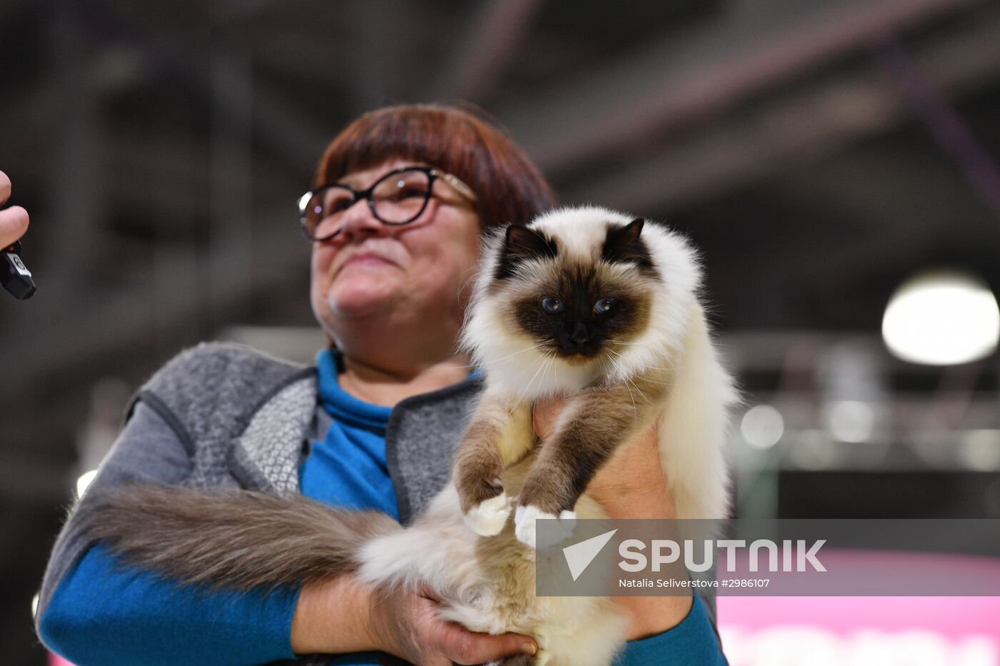 Cat exhibition Grand Prix Royal Canin in Moscow