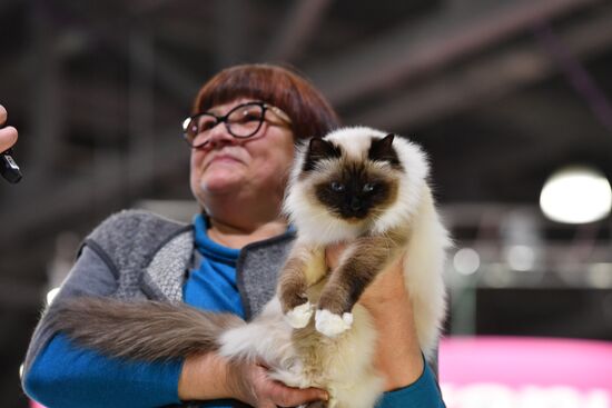 Cat exhibition Grand Prix Royal Canin in Moscow