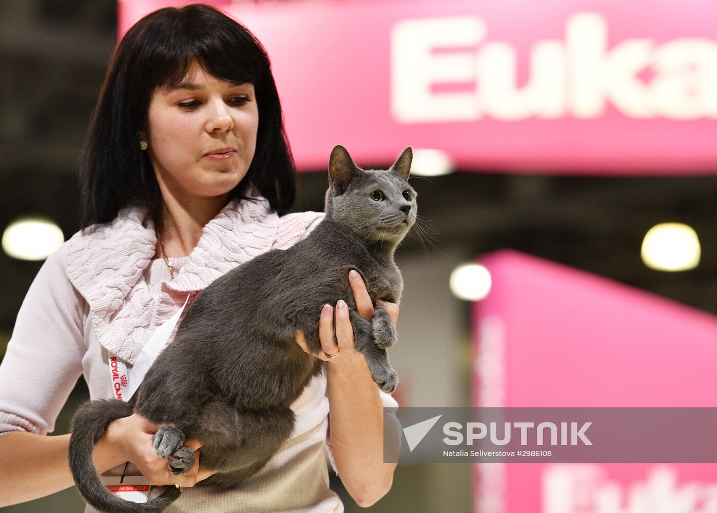 Cat exhibition Grand Prix Royal Canin in Moscow