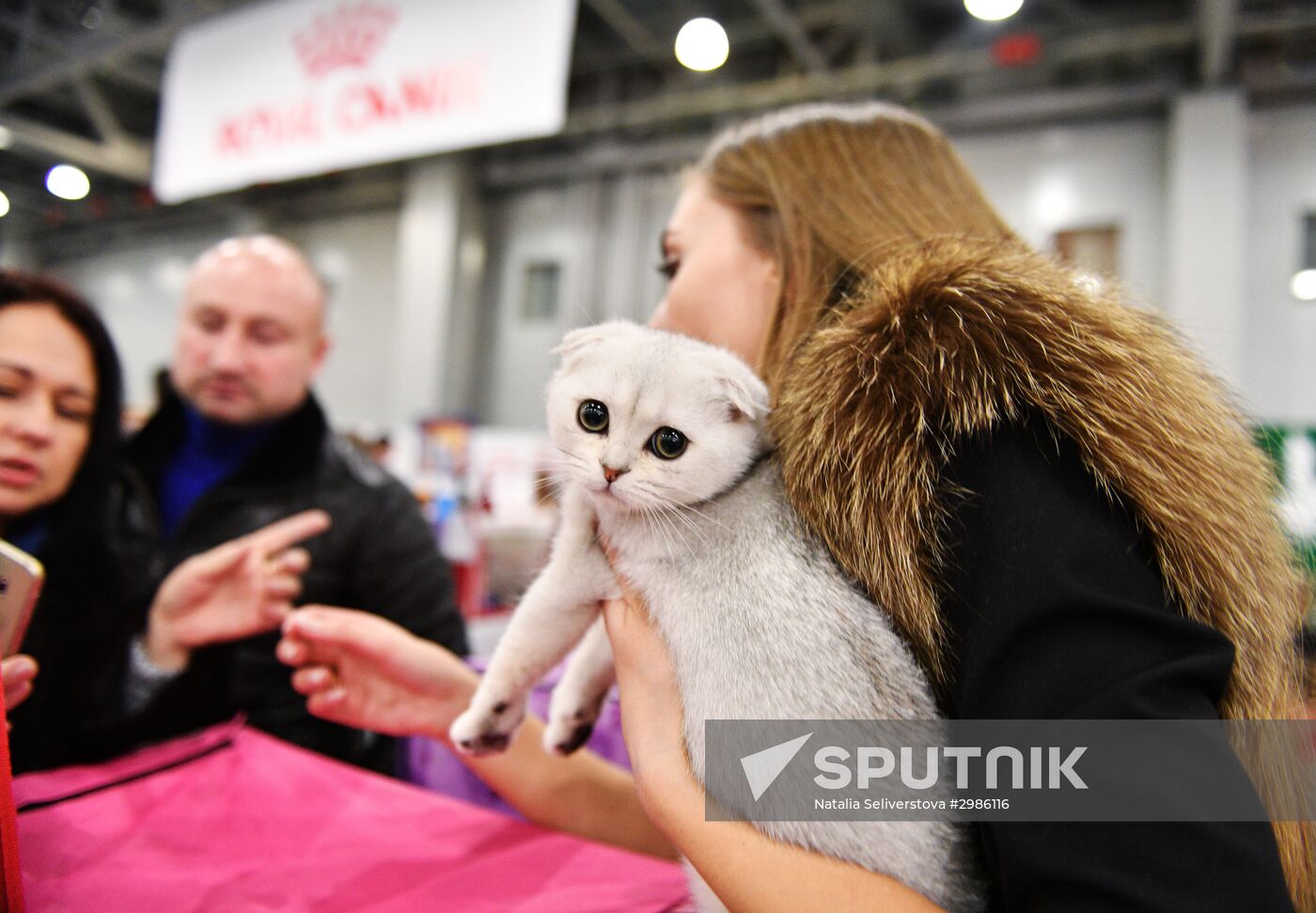 Grand Prix Royal Canin cat show in Moscow