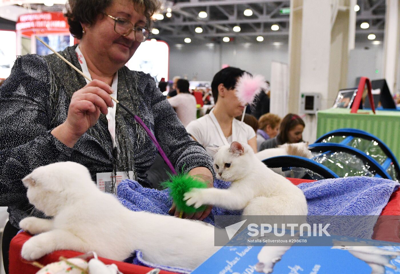 Grand Prix Royal Canin cat show in Moscow