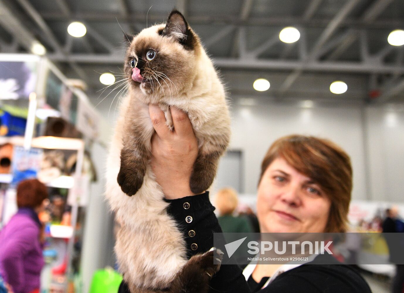 Cat exhibition Grand Prix Royal Canin in Moscow