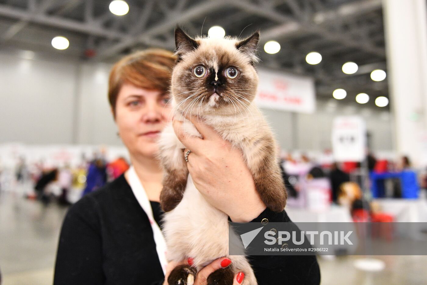 Cat exhibition Grand Prix Royal Canin in Moscow