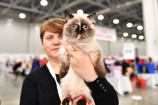 Cat exhibition Grand Prix Royal Canin in Moscow